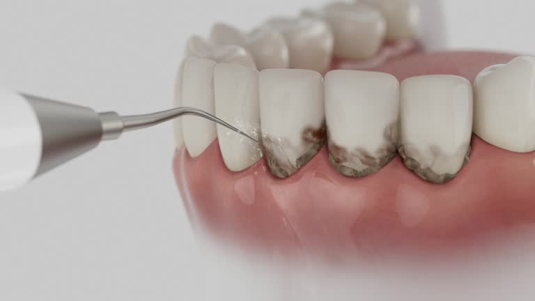 Reliable Dental contractor in Edinburg, IL by Dentist Open Now